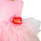 NEW Pink Poppy Peony Flower Fairy Ballerina Dance Dress Size 3/4