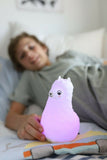 Duski Rechargeable Bluetooth Speaker Colour Changing Night Light Baby Kids